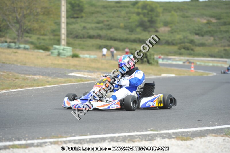 DSC (3530).JPG